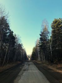 Road amidst trees in forest against clear sky