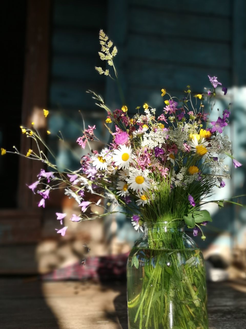 CLOSE-UP OF PURPLE FLOWERING PLANTS