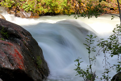 Scenic view of waterfall in forest