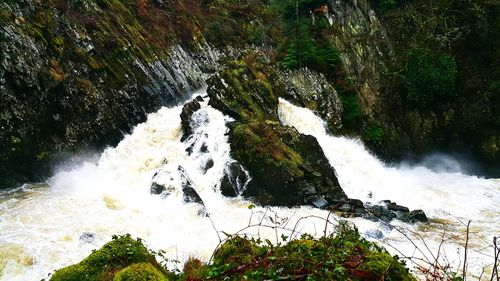 High angle view of waterfall in forest