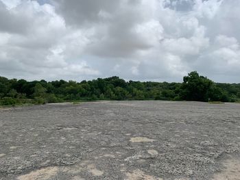 Scenic view of trees on field against sky