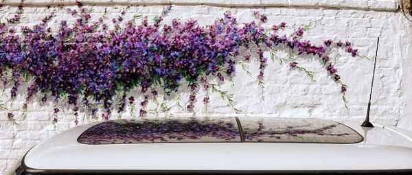 Close-up of purple flowering plants against wall