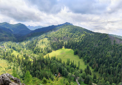 Mountain landscape in summer. view from hill nosal in tatra mountains, poland