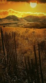 Scenic view of landscape at sunset