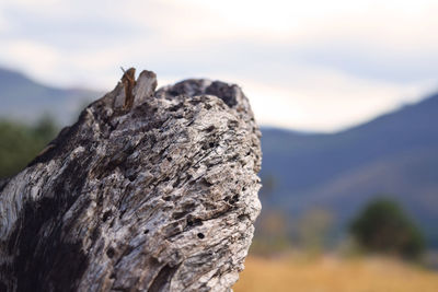 Close-up of mountain against sky