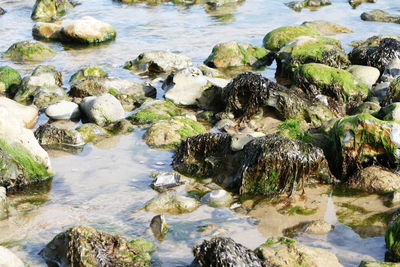 Stream flowing through rocks