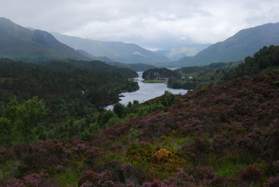 Scenic view of river and mountains against sky