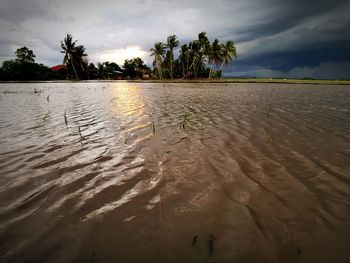 Scenic view of beach against sky during sunset