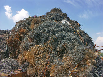 Low angle view of rock formation against sky