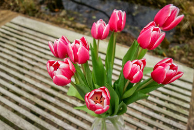 Close-up of pink flowers