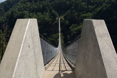 Close-up of bridge against trees