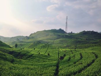 Scenic view of landscape