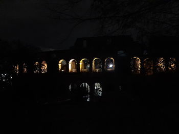 Illuminated building and trees against sky at night