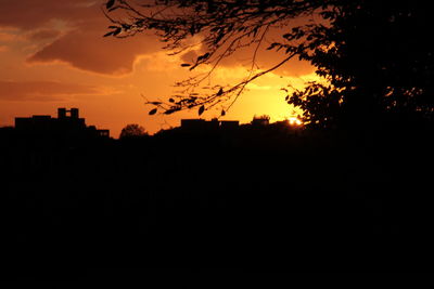 Silhouette trees against sky during sunset