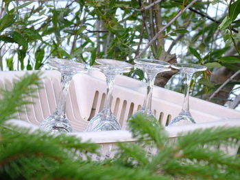 Close-up of drink on table