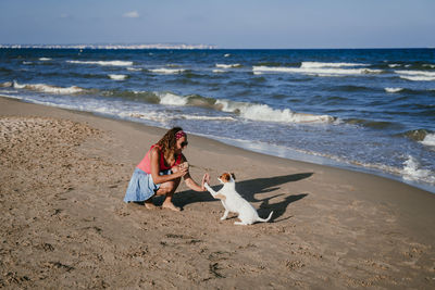 Dog on beach