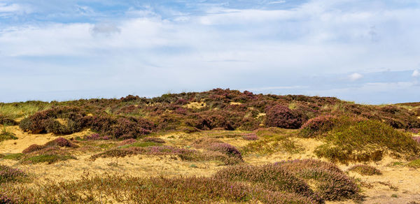 Scenic view of land against sky