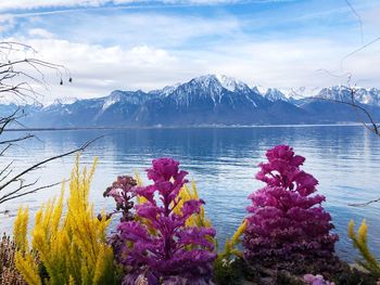 Scenic view of frozen lake and mountains against sky