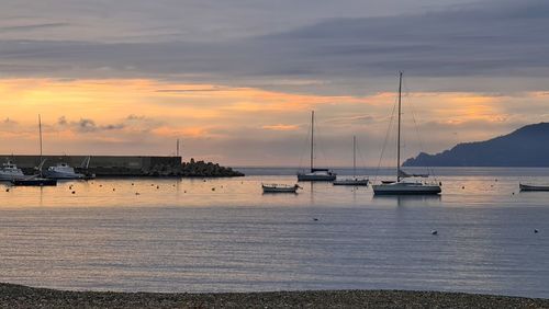 Sailboats moored in sea at sunset