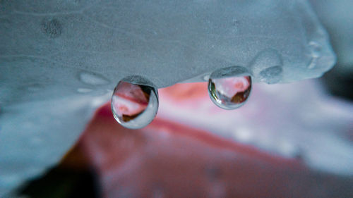 Close-up of raindrops on ice