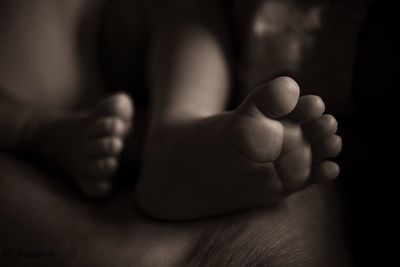 Low section of baby feet