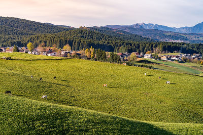 High angle view of townscape against sky