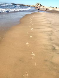 People on beach by sea