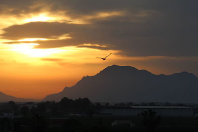 Silhouette bird flying over mountains against orange sky