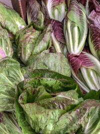 High angle view of leafy vegetables in farmers market