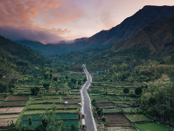 Scenic view of agricultural landscape against sky