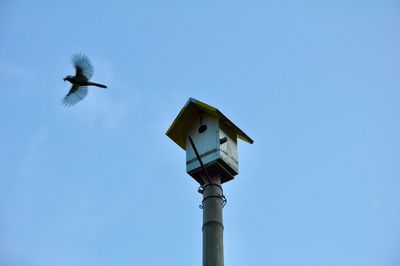 Low angle view of birds flying against sky