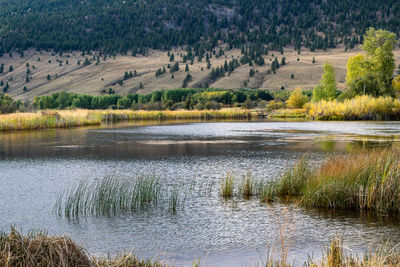 Scenic view of lake