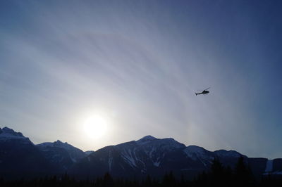 Low angle view of silhouette airplane flying in sky