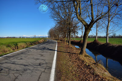 View of empty road along bare trees