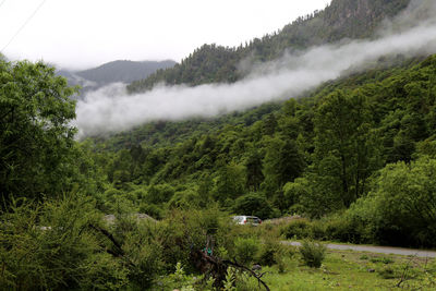 Scenic view of agricultural landscape