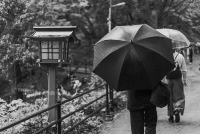 Rear view of woman with umbrella standing in park