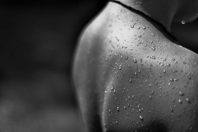 Close-up of water on human back