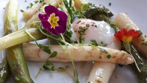 Close-up of flowers in plate