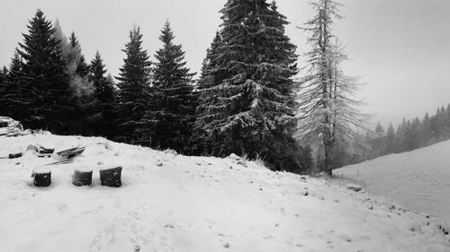 Scenic view of snow covered landscape