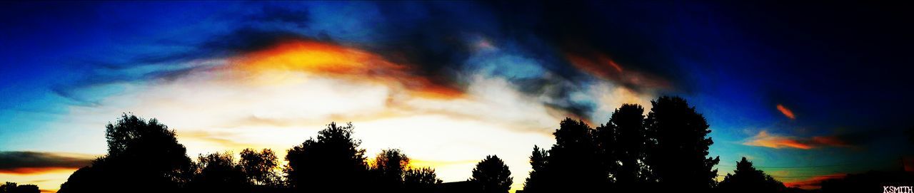 SILHOUETTE OF TREES AT SUNSET