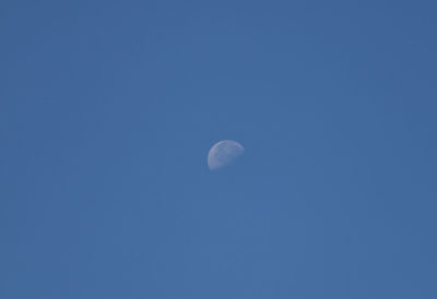 Low angle view of moon in sky