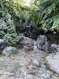 Scenic view of waterfall in forest