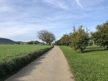 Road amidst trees on field against sky