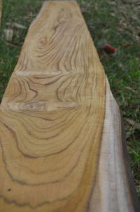 Close-up of tree trunk