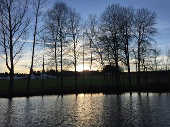 Silhouette of trees at sunset