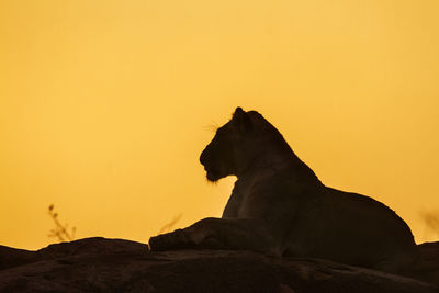 Silhouette of a rock