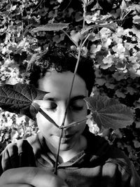 Close-up of boy holding plant