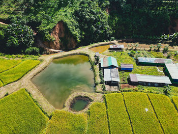 High angle view of road amidst trees