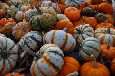 Full frame shot of pumpkins for sale at market stall