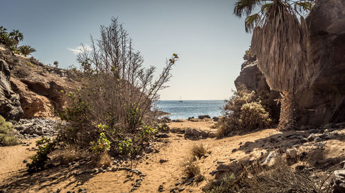 Scenic view of sea against clear sky